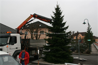 Weihnachtsbaum+am+Ortsplatz+%5b001%5d