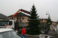 Weihnachtsbaum+am+Ortsplatz+%5b002%5d