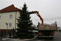 Weihnachtsbaum+am+Ortsplatz+%5b003%5d