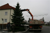 Weihnachtsbaum+am+Ortsplatz+%5b004%5d