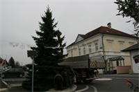 Weihnachtsbaum+am+Ortsplatz+%5b006%5d