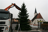 Weihnachtsbaum+am+Ortsplatz+%5b013%5d
