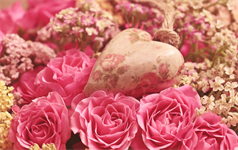 Blumen in rosarot mit Herz in der Mitte